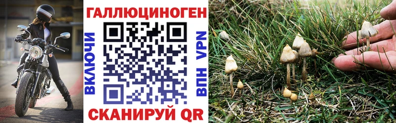 Псилоцибиновые грибы Magic Shrooms  Купить где  Калининец 
